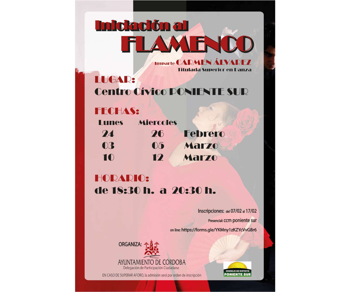 INICIACIÓN AL FLAMENCO