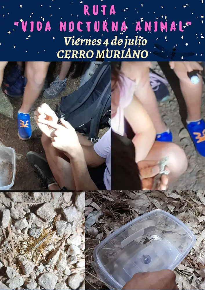 Imágenes de la ruta por la Sierra de Cerro Muriano