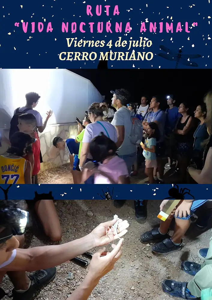 Imágenes de la ruta por la Sierra de Cerro Muriano