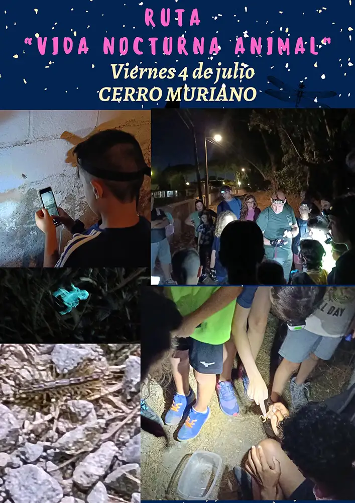 Imágenes de la ruta por la Sierra de Cerro Muriano
