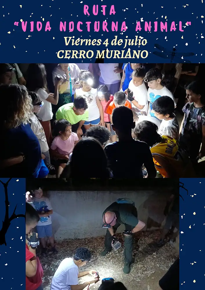 Imágenes de la ruta por la Sierra de Cerro Muriano
