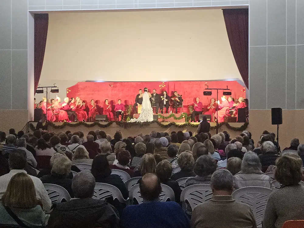 tarde flamenca a cargo del Ballet de Lina Vera y Manuel Criado