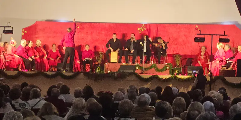 tarde flamenca a cargo del Ballet de Lina Vera y Manuel Criado