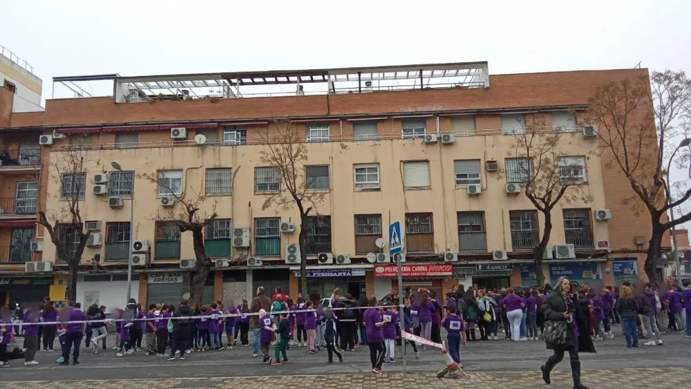 imagen destacada carrera 8M